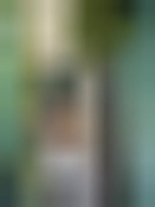 Paula, 24 Jahre — seitensprung in Aachen