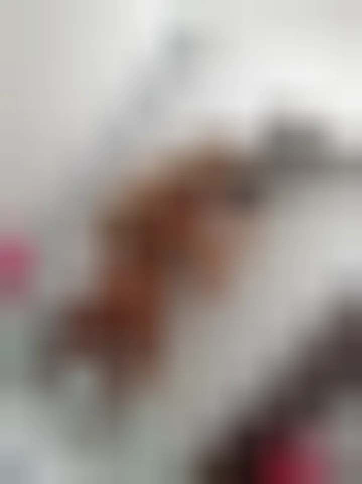 Elif, 26 Jahre — seitensprung in Berlin