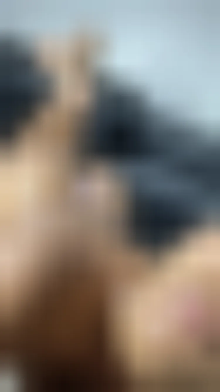 Nora, 25 Jahre — seitensprung in Schwerte